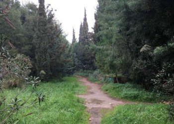 Αναπλάθεται η Πύρνα!