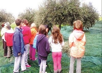 ΜΑΖΙ… σε περιβαλλοντικές δράσεις!