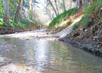 Ρέματα: Για μια βιώσιμη διαχείριση