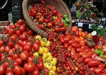 Ενημέρωση για την Αγορά Βιοκαλλιεργητών