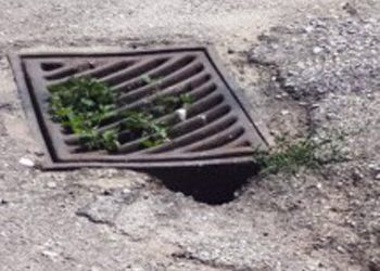 Ανοιχτή επιστολή προς τον Δήμαρχο  Βριλησσίων Ξεν. Μανιατογιάννη