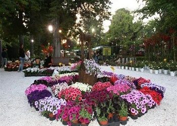 «Ποιότητα και εξωστρέφεια, η απάντηση στην κρίση»