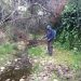 Καταπολέμηση κουνουπιών