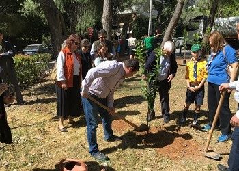 Δεντροφύτευση από τους μαθητές