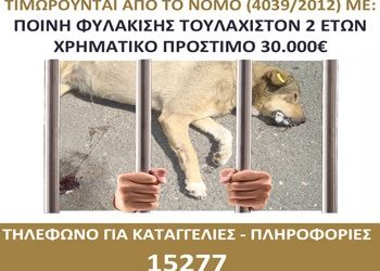 «Δεν θα ανεχτούμε κρούσματα εσκεμμένης θανάτωσης ζώων»