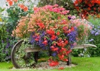 Διαγωνισμός Φωτογραφίας - Κήποι και Μπαλκόνια!