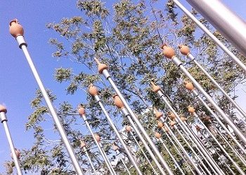 Στην πλατεία των υποστυλωμένων πεύκων & των βιδωμένων κανατιών