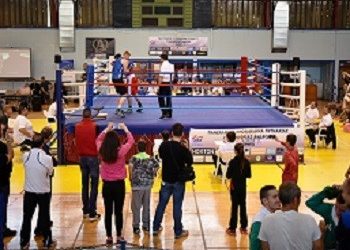 Διακρίσεις για τον σύλλογο πυγμαχίας Αμαρουσίου