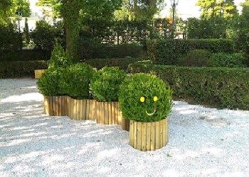 Φυσικός Παιδότοπος στην Ανθοκομική