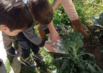 Μικροί κηπουροί εν δράσει στον Δήμο Κηφισιάς