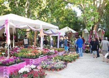 «Η αισιοδοξία είναι εδώ, στο Άλσος Κηφισιάς!»