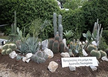 Ο Βραχόκηπος της Ανθοκομικής