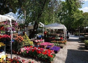 Ανθοκομική Έκθεση Κηφισιάς, η γιορτή κορυφώνεται!