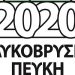 Δύο χρόνια ΛΥΚΟΒΡΥΣΗ-ΠΕΥΚΗ 2020