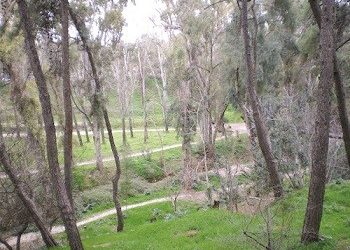 Τιμούν την Παγκόσμια Εβδομάδα Περιβάλλοντος