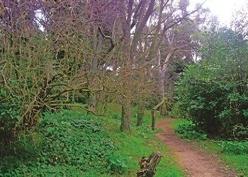 Δημοπρασία για δημοτικό ακίνητο