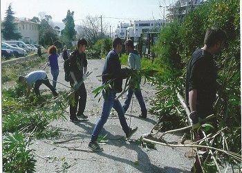 «Εθελοντική Πρωτοβουλία Δάσους Συγγρού 1989»