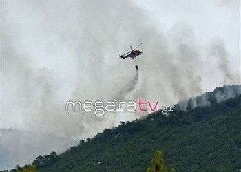 Φωτιά σε δασική έκταση στη Νέα Πέραμο Αττικής