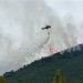 Φωτιά σε δασική έκταση στη Νέα Πέραμο Αττικής