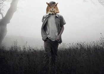 Η κουκουβάγια