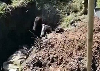 Βίντεο-σοκ | Ουκρανοί θάβουν ζωντανό Ρώσο αυτονομιστή