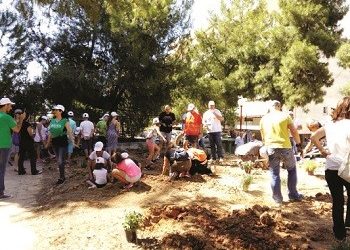 Πρασίνισαν δύο ελεύθεροι χώροι της πόλης