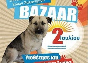 Ο Φοίβος θέλει σπίτι!!!