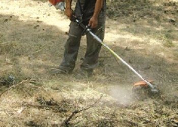 «Καθαρίστε οικόπεδα και ακάλυπτους χώρους»