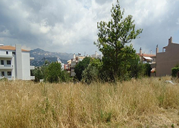 Σε πλήρη εξέλιξη καθαρισμός χώρων και οικοπέδων