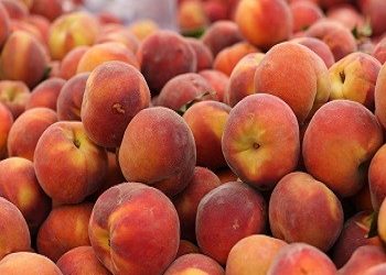 Διανομή ροδάκινων στο Δήμο Βριλησσίων