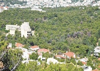Δ. Στεργίου: «Ευχής έργο το δασικό νομοσχέδιο»