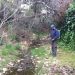 Συνεχίζεται η καταπολέμηση των κουνουπιών