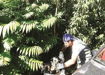 ΡΕΜΑ ΣΑΠΦΟΥΣ | Νέος καθαρισμός