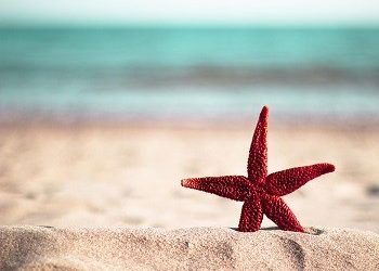 Δωρεάν θαλάσσια μπάνια