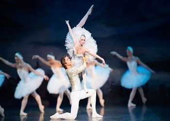 «Κύκνοι» στα Βριλήσσια