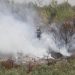 Καταστρέφει εκτάσεις με ελιές η φωτιά στους Γόννους της Λάρισας
