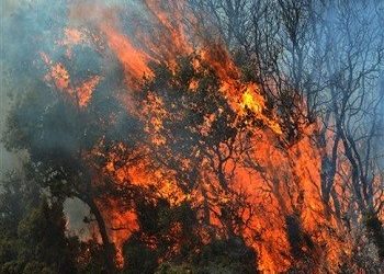 Πυρκαγιά στη Λακωνία | Υπό μερικό έλεγχο η φωτιά στη Χαλκιδική