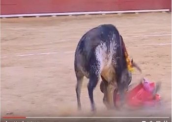 Ισπανία | Ταυρομάχος έχασε τη ζωή του στην αρένα! (video)