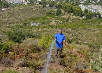 Ευρεία συμμετοχή στο 3ο πότισμα ΣΠΑΠ