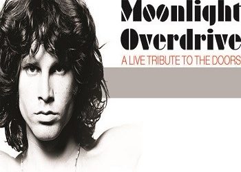 Moonlight Overdrive και The BuzzDealers