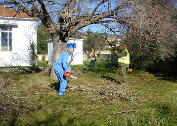 Ερίζουν για την πυροπροστασία Δήμος και μειοψηφία