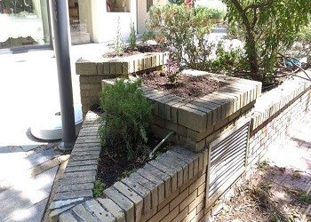 Φυτεύτηκαν 250 δέντρα και φυτά στην πόλη