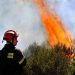 Νέα πυρκαγιά στο Μαρμάρι Καρύστου | Υπό μερικό έλεγχο η φωτιά στο Μαραθώνα