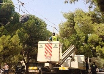 Ξεκίνησε το πρόγραμμα κλαδεύσεων υψηλού πρασίνου