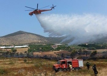 Ταχύτατα και αποτελεσματικά