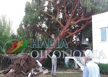 Ανεμοστρόβιλος ξεριζώνει δέντρα | Μεγάλες ζημιές στη Δυτική Ελλάδα