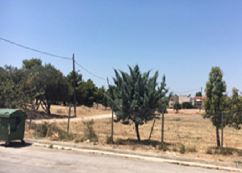 Ευχαριστήρια επιστολή Πευκακίων στο δήμαρχο