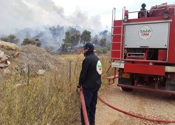 Ο ΣΠΑΠ στο Πικέρμι