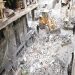 Γιατί κάποιοι σκέφτονται τη Λε Πεν…