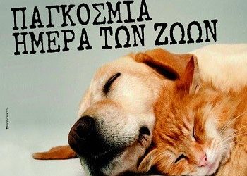 Μήνυμα του Δήμου για την Παγκόσμια Ημέρα Ζώων